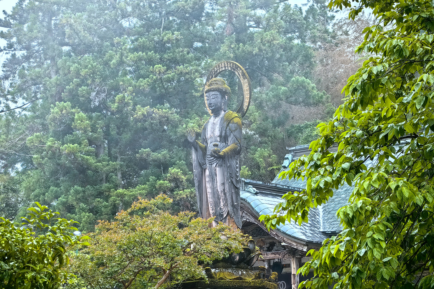 四國遍路-醫王山清滝寺